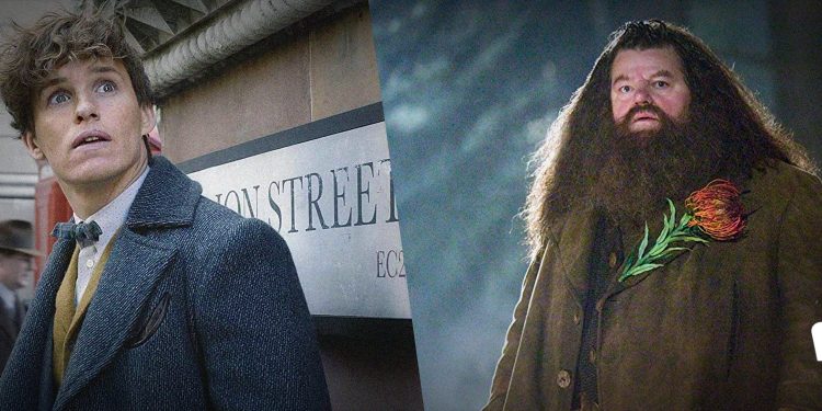 Eddie Redmayne quiere a Hagrid en futuras entregas de Animales Fantásticos.