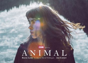 Análisis de ‘Animal’, el cortometraje nacido para condenar la violencia machista.