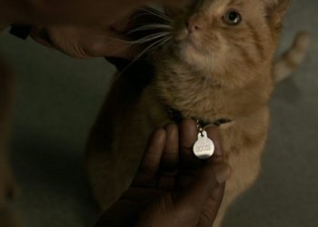 Un juguete confirma esta teoría sobre Goose, el gato de Captain Marvel.