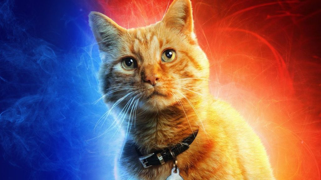 Goose el gato de 'Capitana Marvel' podría ver el futuro según una teoría.