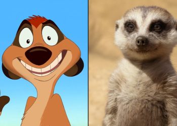 ¿Son buena idea los live action?