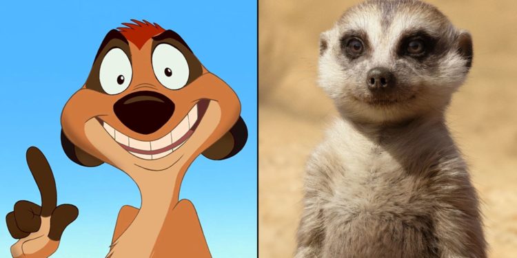 ¿Son buena idea los live action?