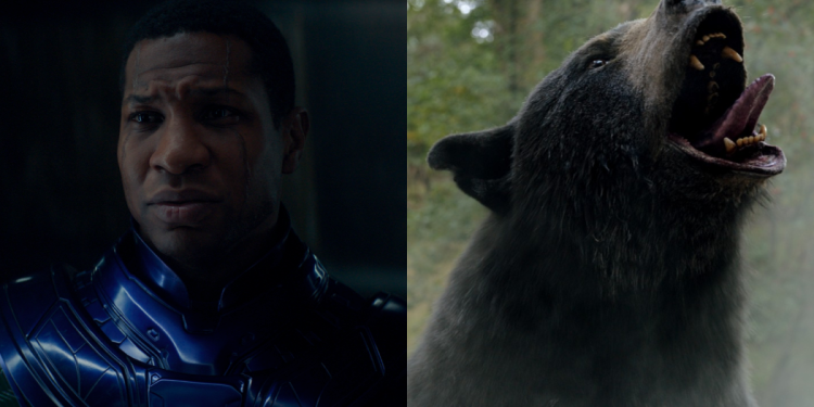 Taquilla EEUU: ‘Ant-Man’ se encoge ante el ‘Oso Vicioso’